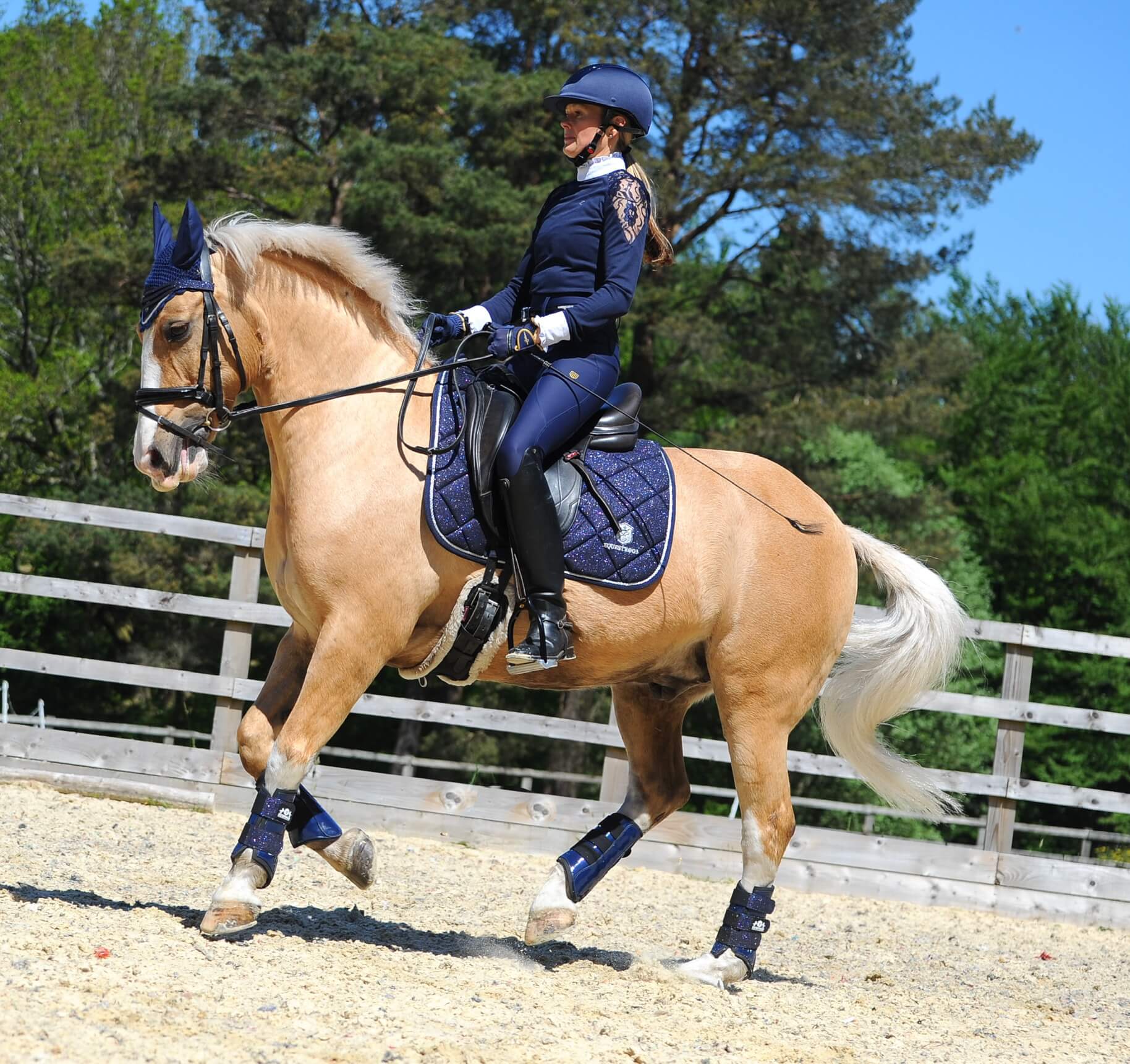 Deep Sapphire Saddle Pad - Equine Exchange Tack Shop