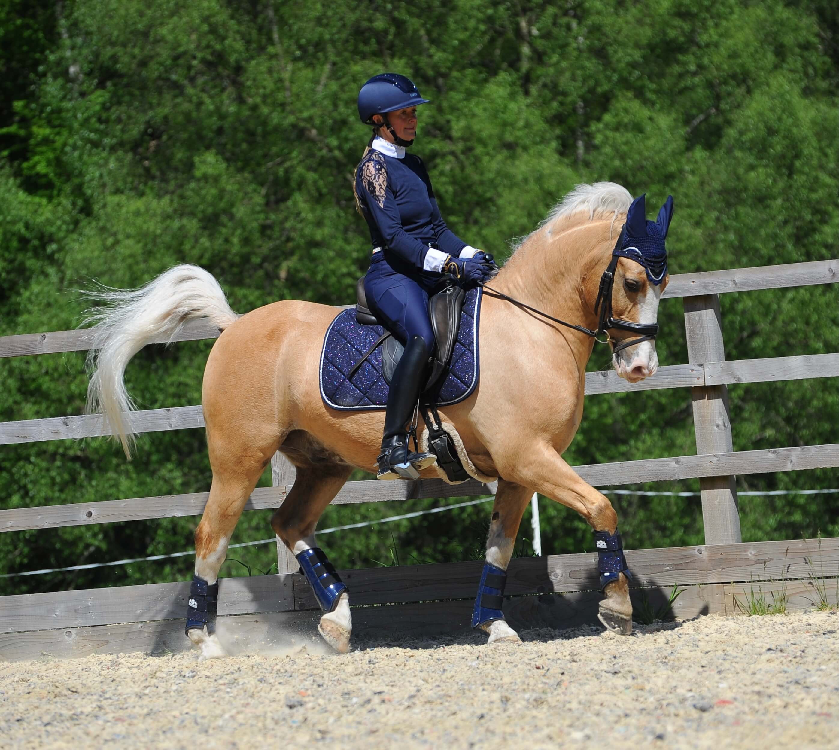 Deep Sapphire Saddle Pad - Equine Exchange Tack Shop