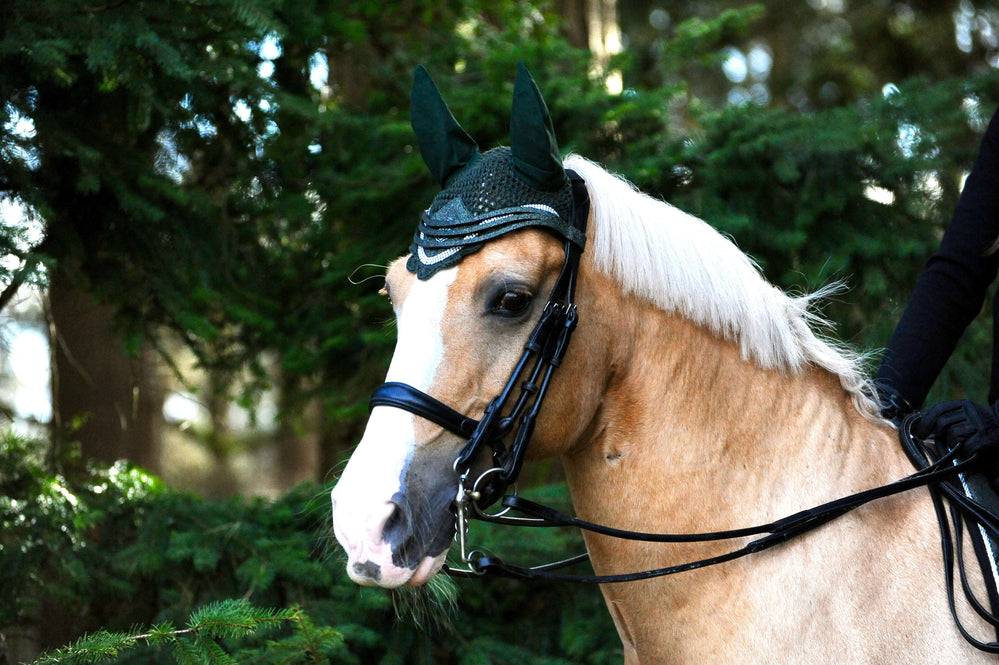 Jade Green Saddle Pad Set - Equine Exchange Tack Shop