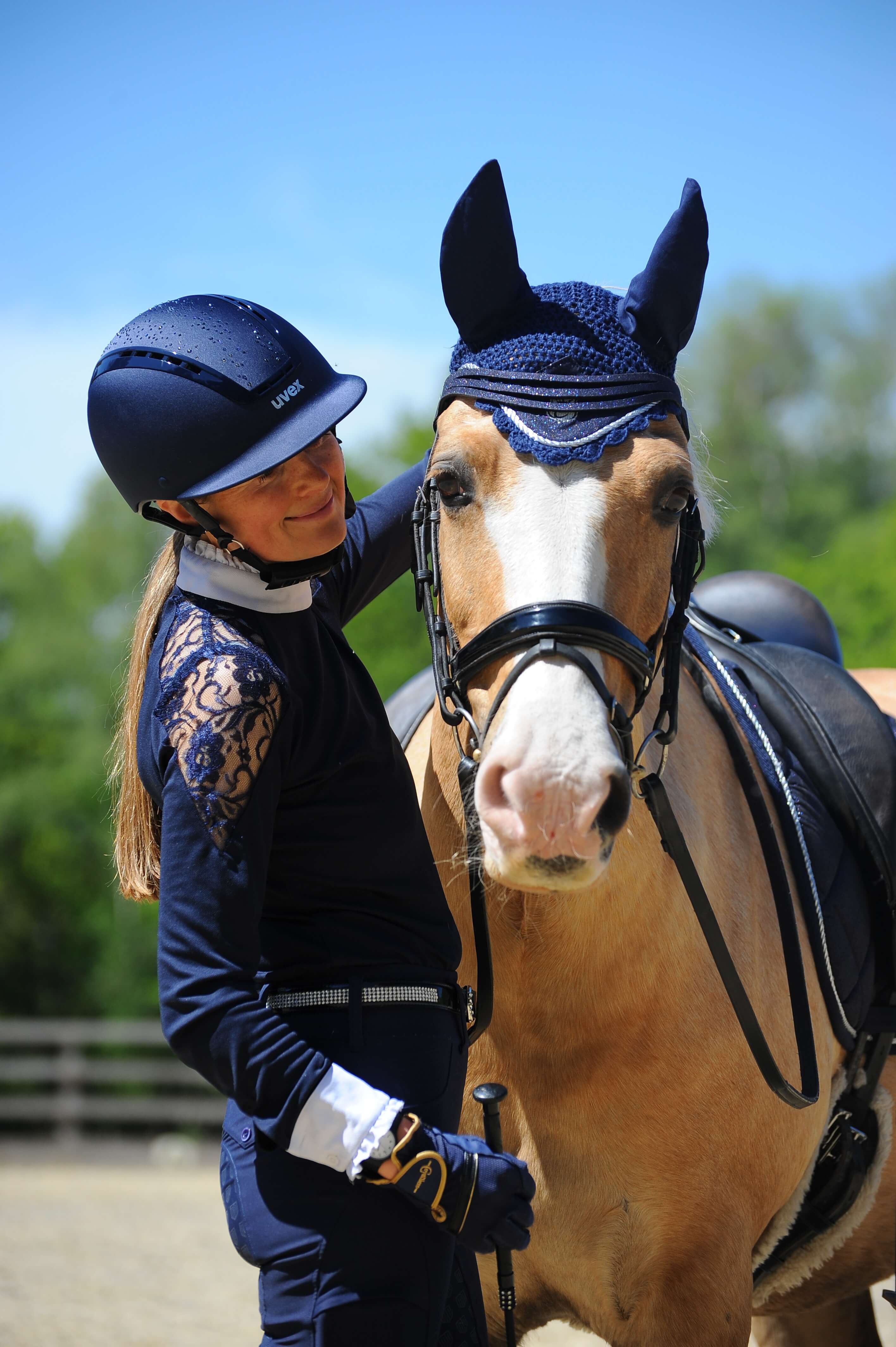 Deep Sapphire Browband - Equine Exchange Tack Shop