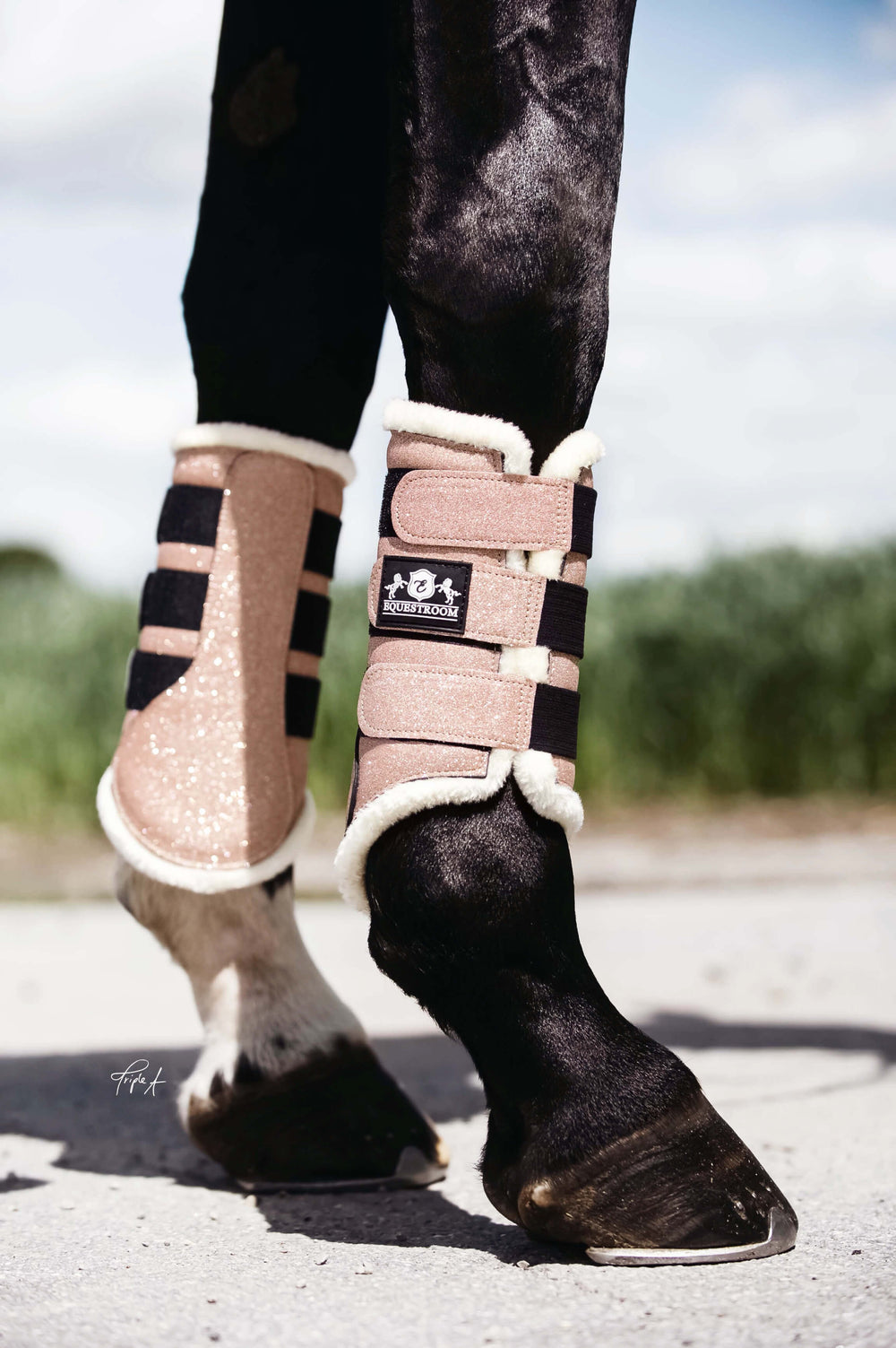 Rose Quartz Brushing Boots - Equine Exchange Tack Shop