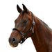 image_addtnl_1 - Black/Black - Dublin Leather Rope Halter - .jpg
