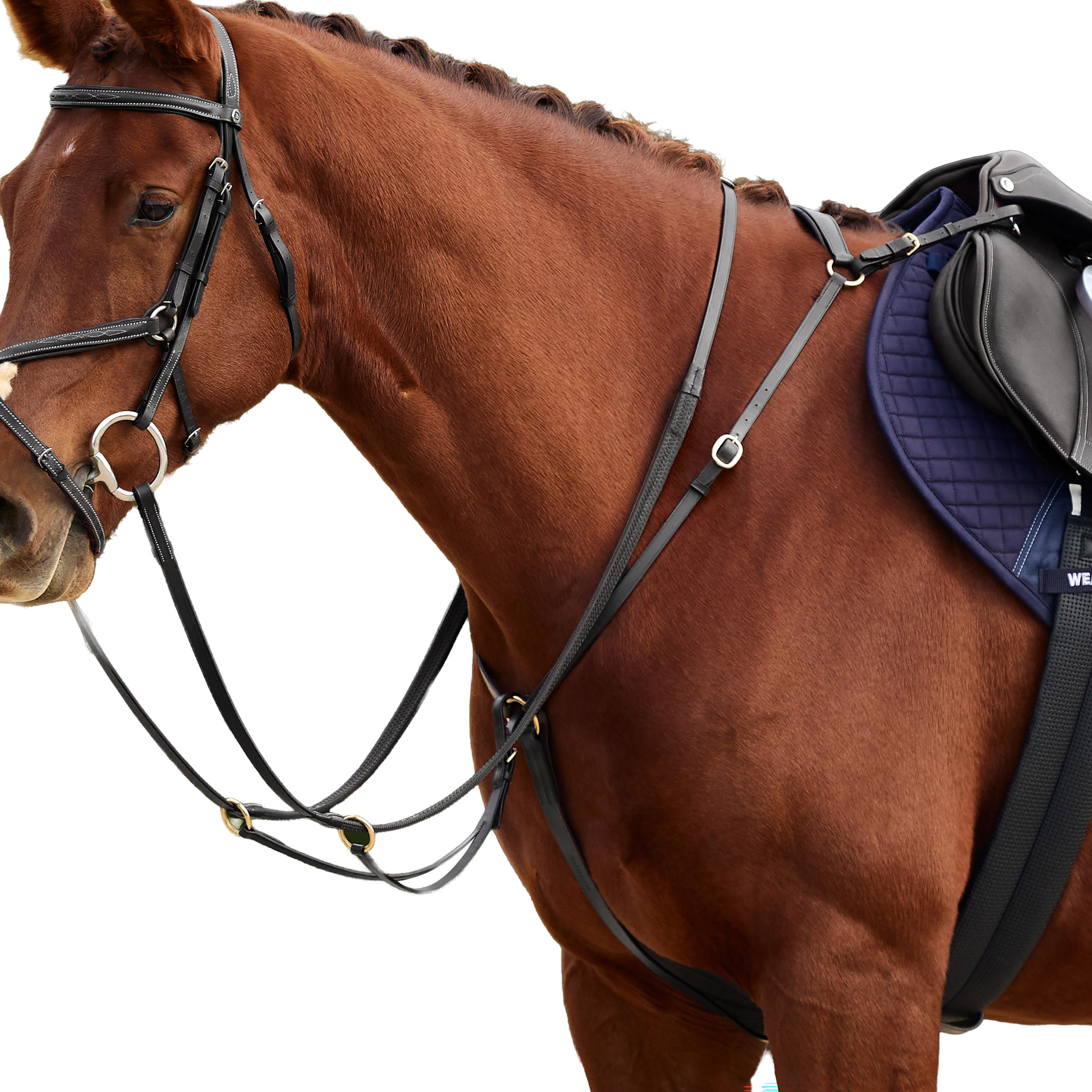 image_addtnl_1 - Black - Dublin 3-Point Breastplate - .jpg