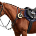 image_addtnl_1 - Black - Dublin 5-Point Event Breastplate - .jpg