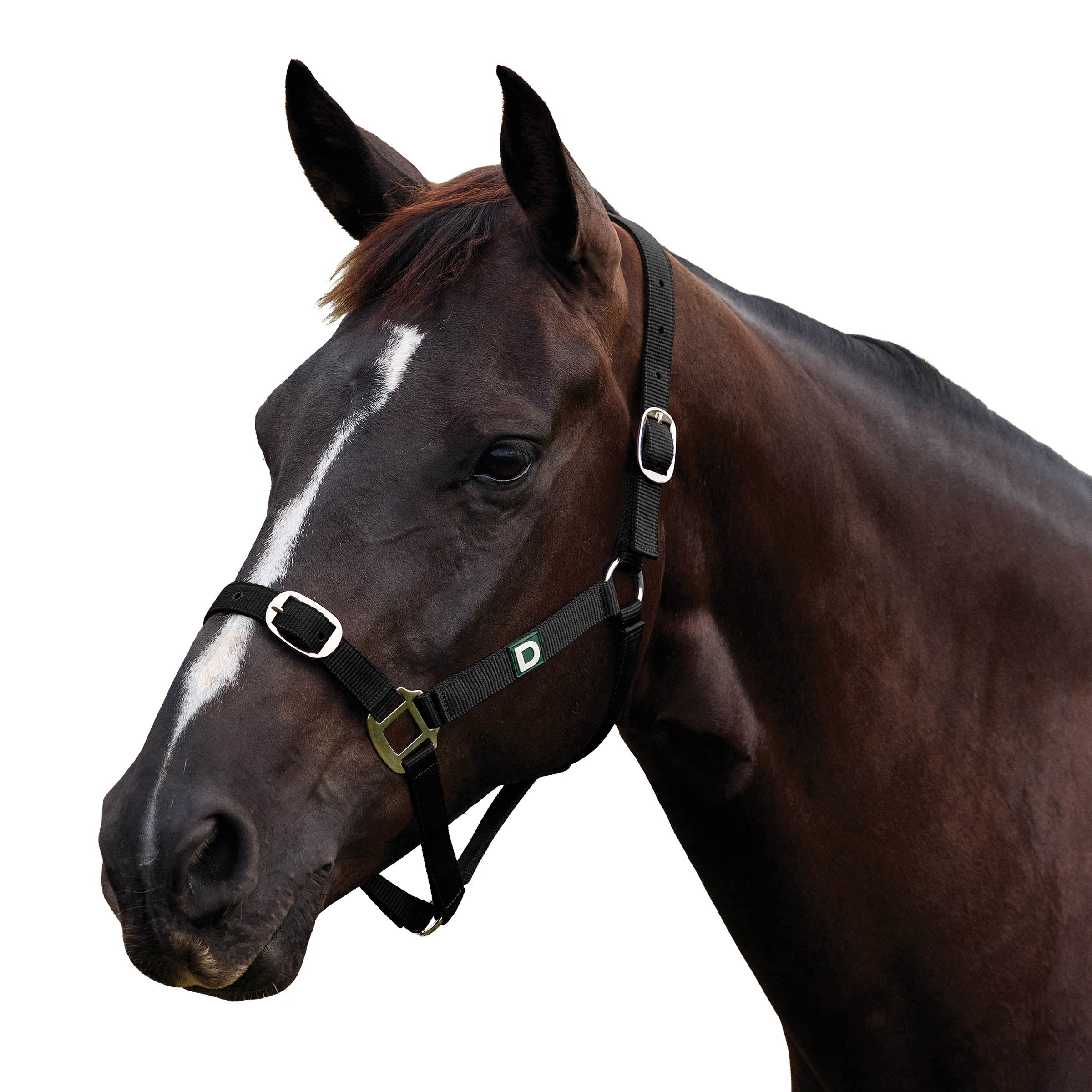 image_addtnl_1 - Black - Dublin Everyday Breakaway Halter - .jpg