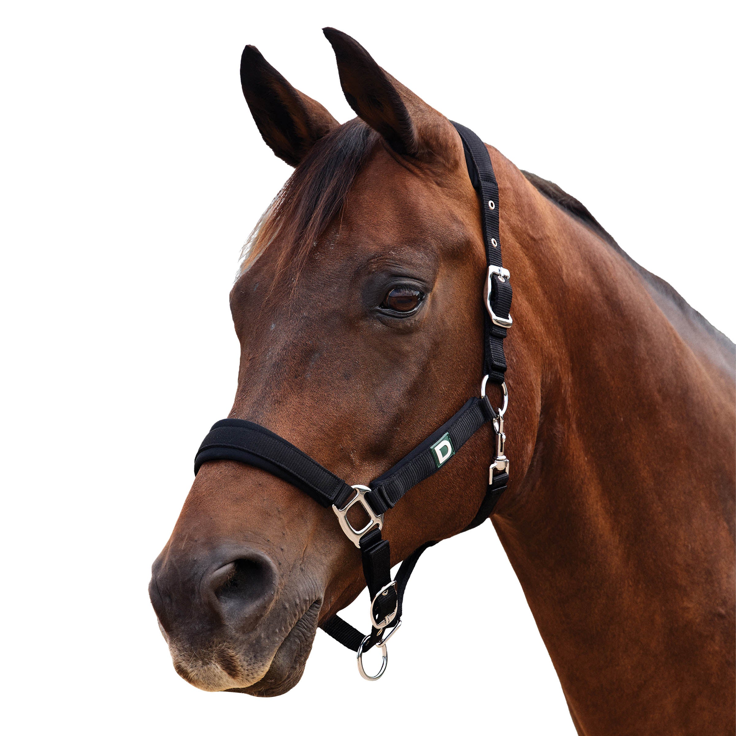 image_addtnl_1 - Black - Dublin Neo Comfort Breakaway Halter - .jpg