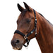 image_addtnl_1 - Black - Dublin Neo Comfort Breakaway Halter - .jpg