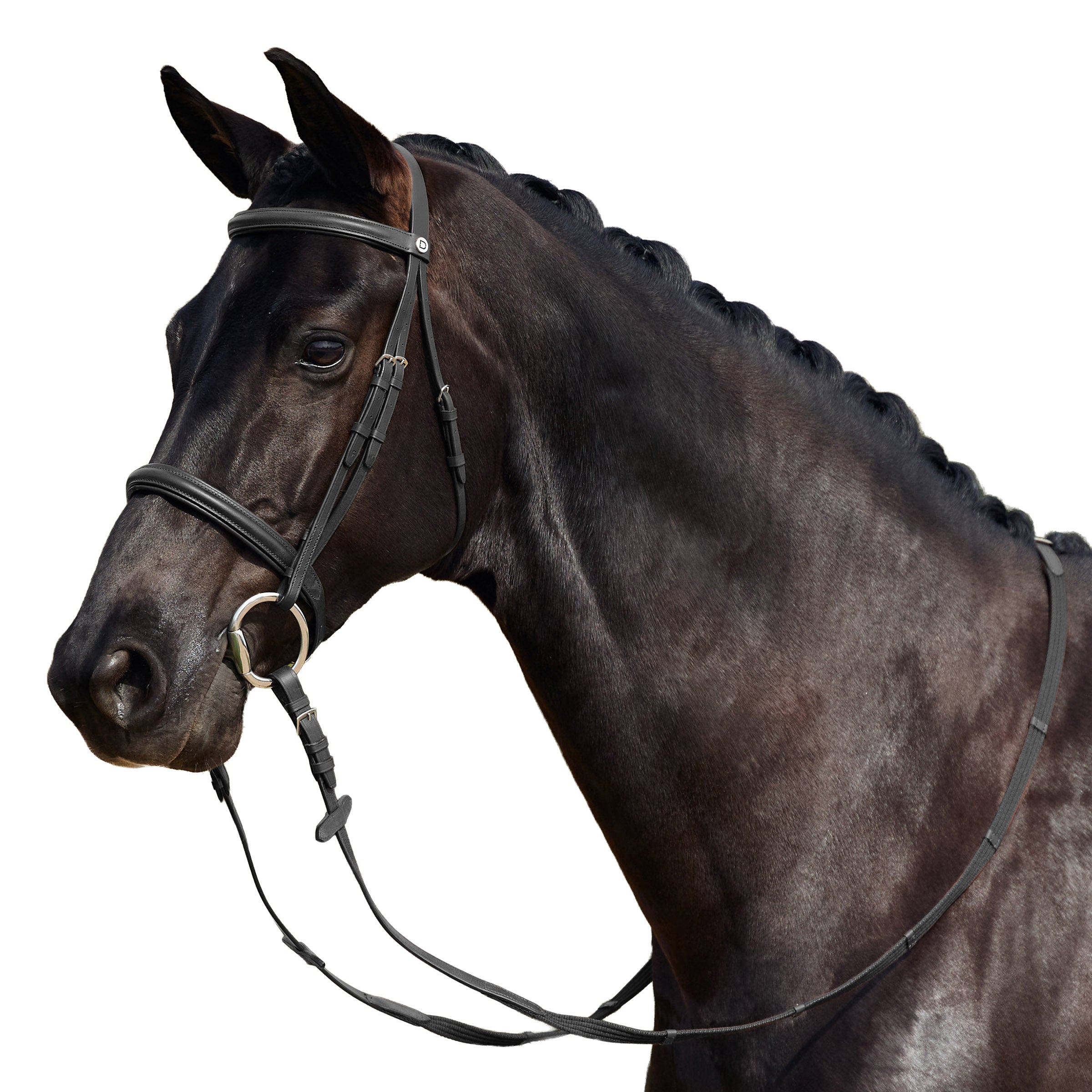 image_addtnl_1 - Black - Dublin Padded Cavesson Bridle - .jpg