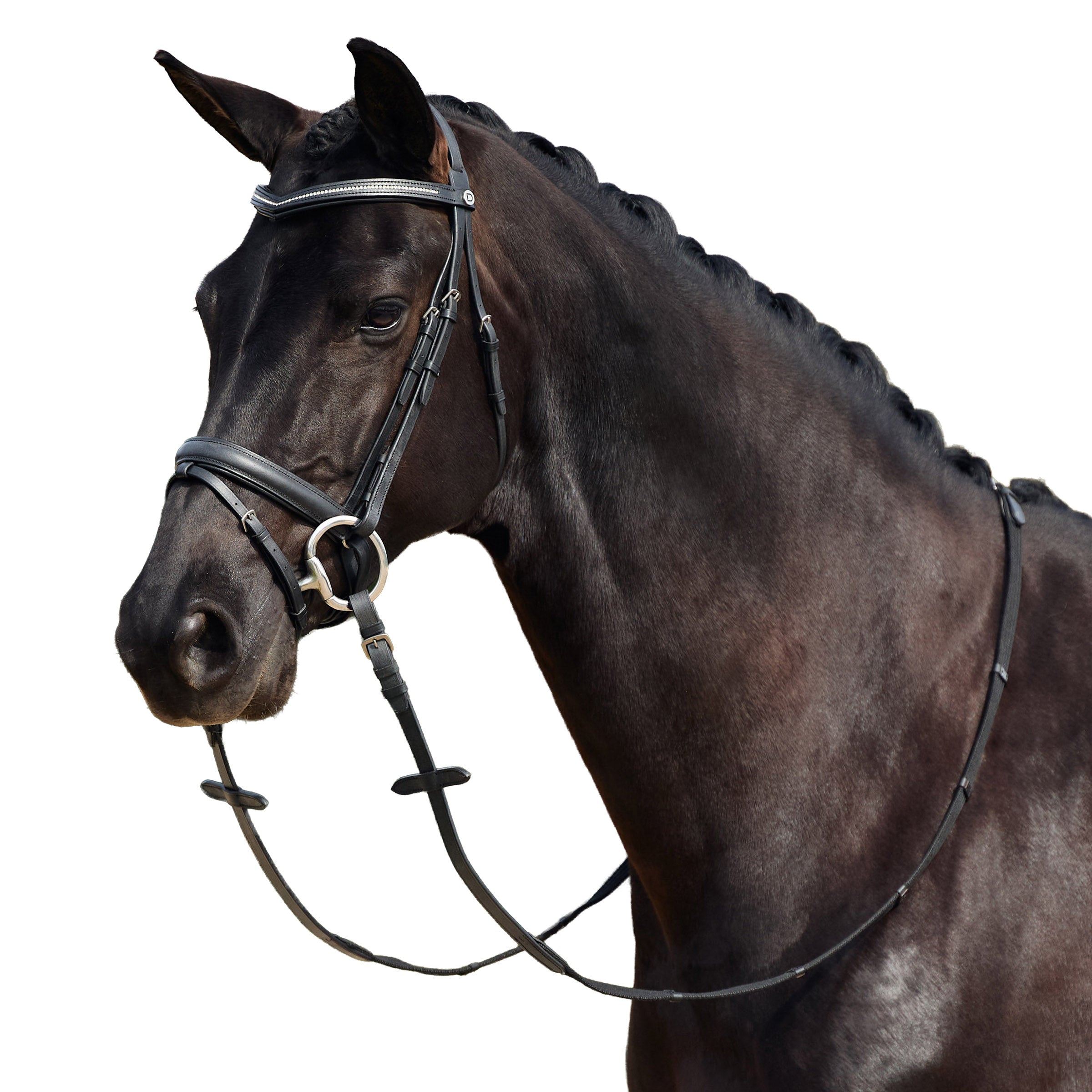 image_addtnl_1 - Black - Dublin Padded Comfort Crown Crystal Flash Bridle - .jpg