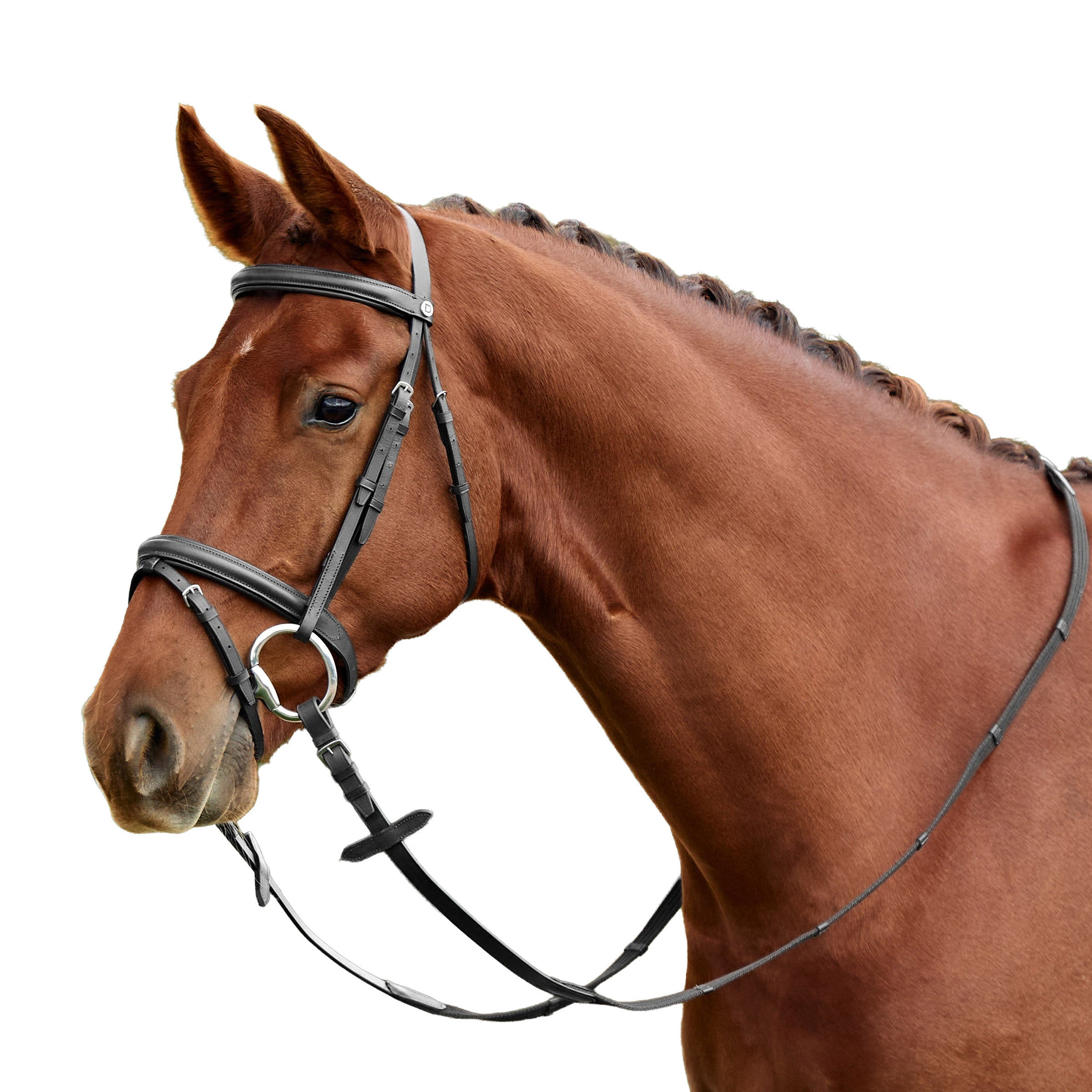 image_addtnl_1 - Black - Dublin Padded Flash Bridle - .jpg