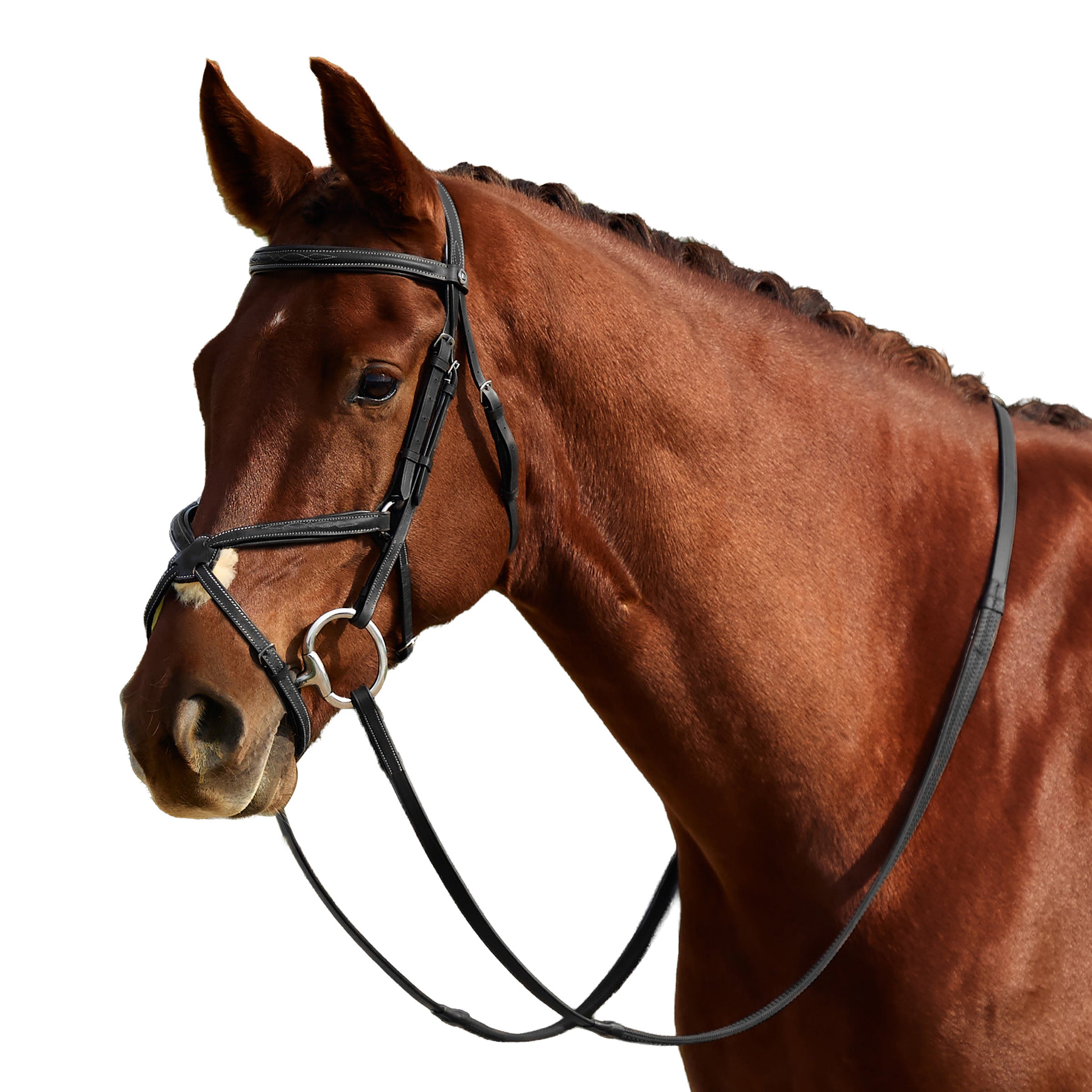image_addtnl_1 - Black - Dublin Padded Mono Crown Fancy Stitch Grackle Bridle - .jpg
