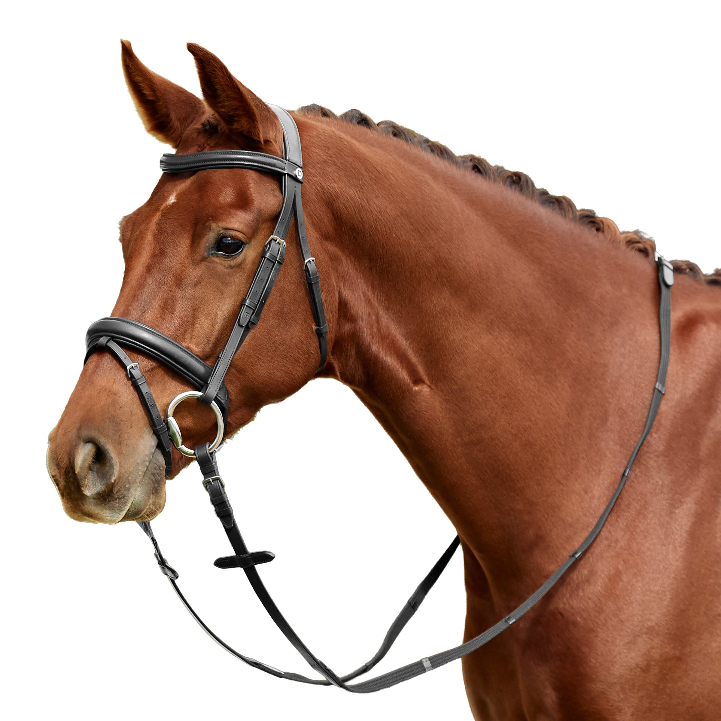image_addtnl_1 - Black - Dublin Padded Mono Crown Flash Bridle - .jpg