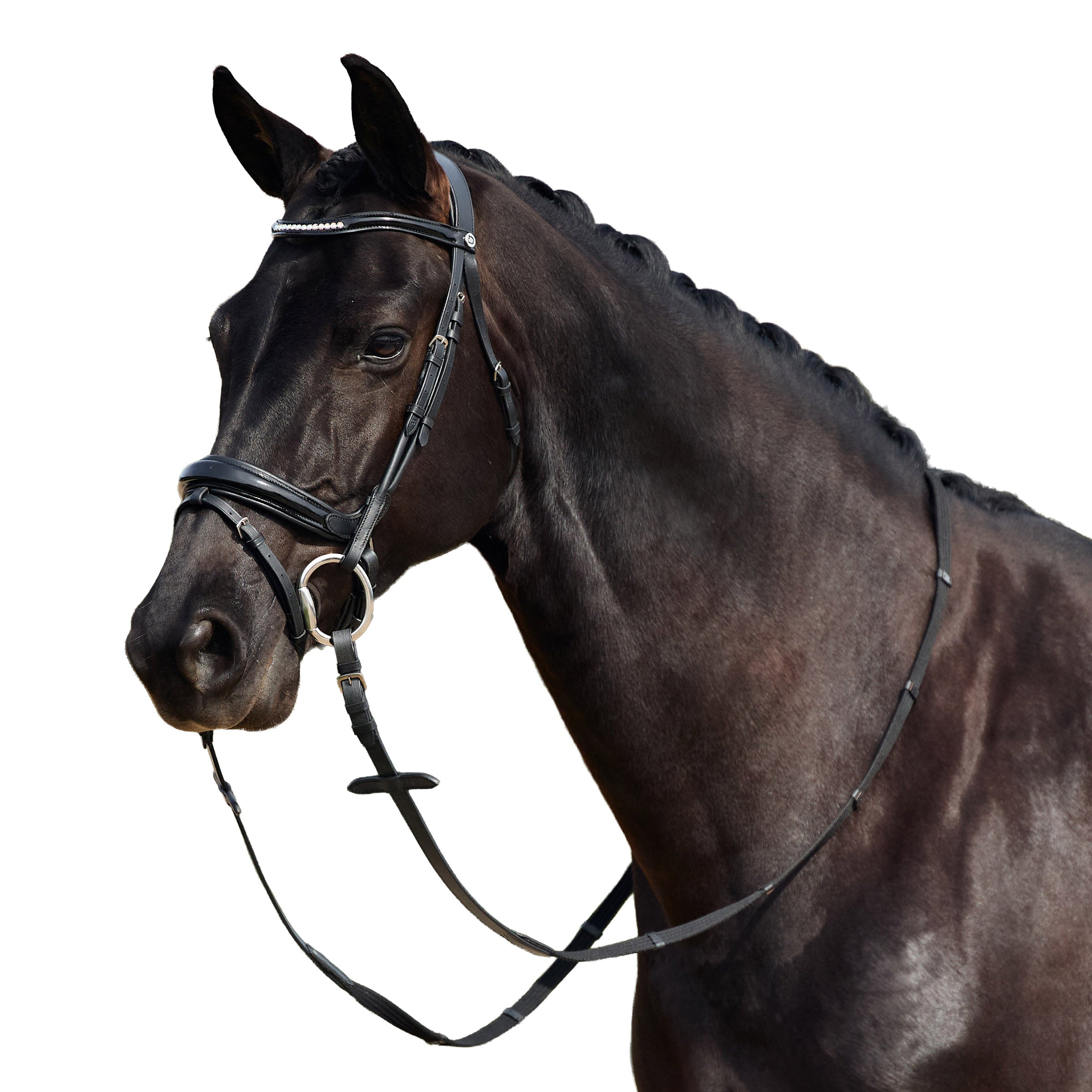 image_addtnl_1 - Black - Dublin Padded Mono Crown Patent Flash Bridle - .jpg