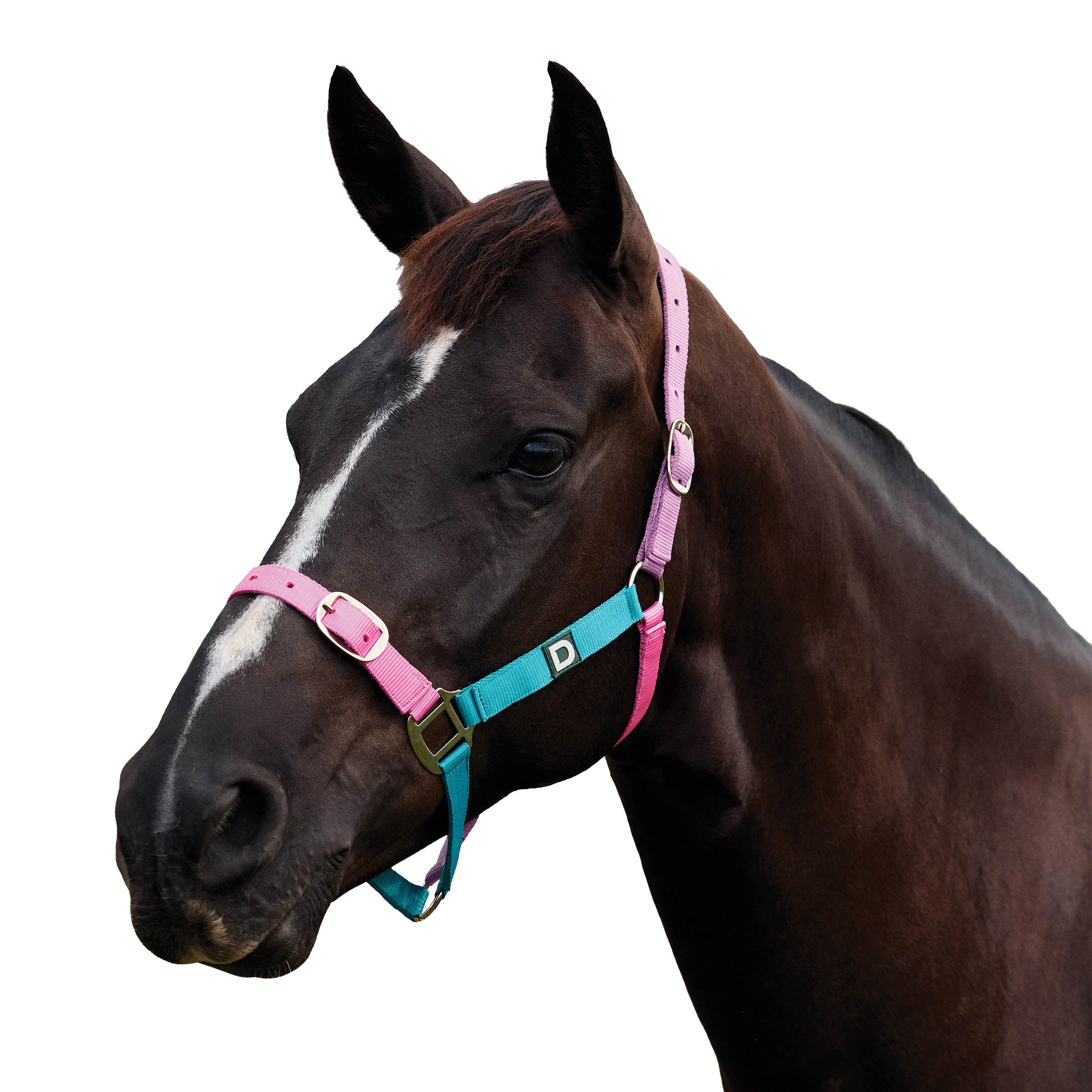 image_addtnl_1 - Blue/Pink/Purple - Dublin Everyday Breakaway Halter - .jpg
