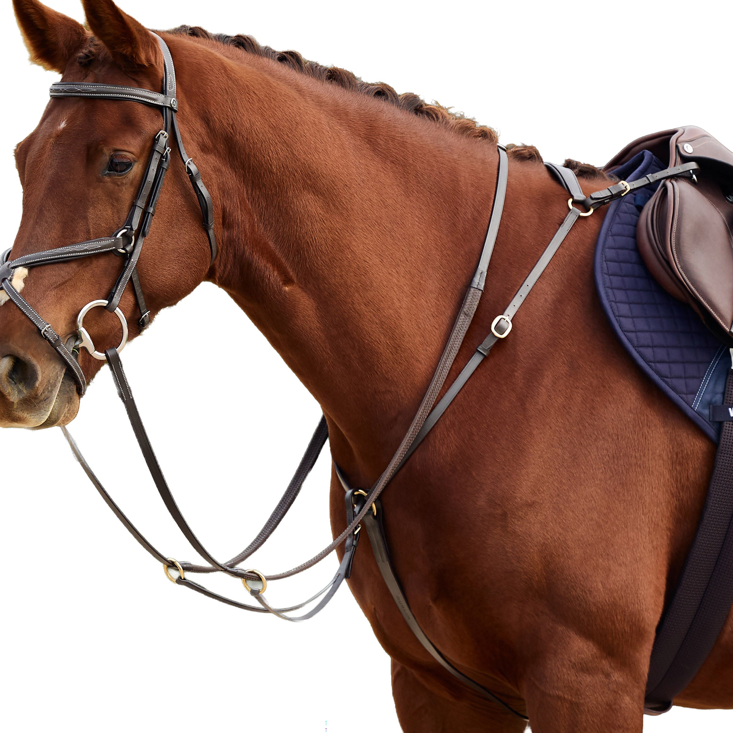 image_addtnl_1 - Brown - Dublin 3-Point Breastplate - .jpg