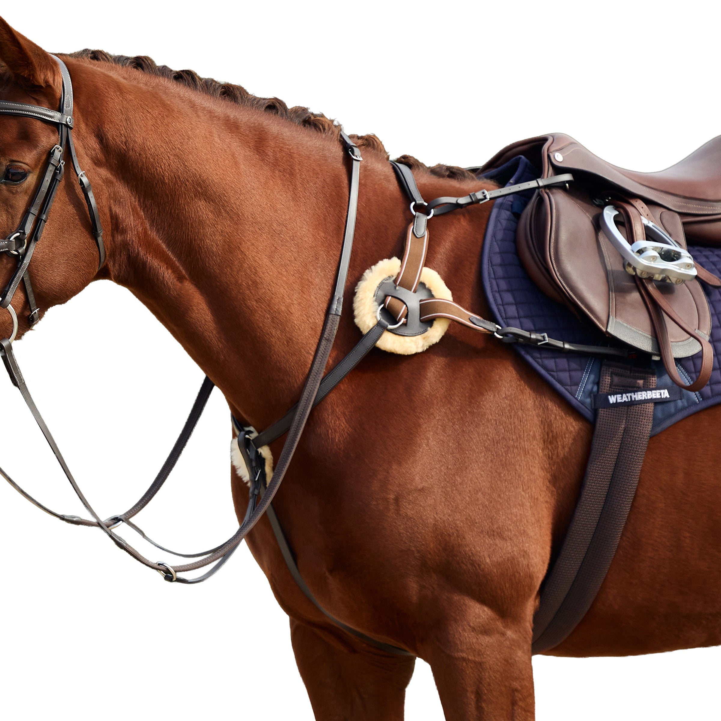 image_addtnl_1 - Brown - Dublin 5-Point Event Breastplate - .jpg