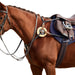 image_addtnl_1 - Brown - Dublin 5-Point Event Breastplate - .jpg