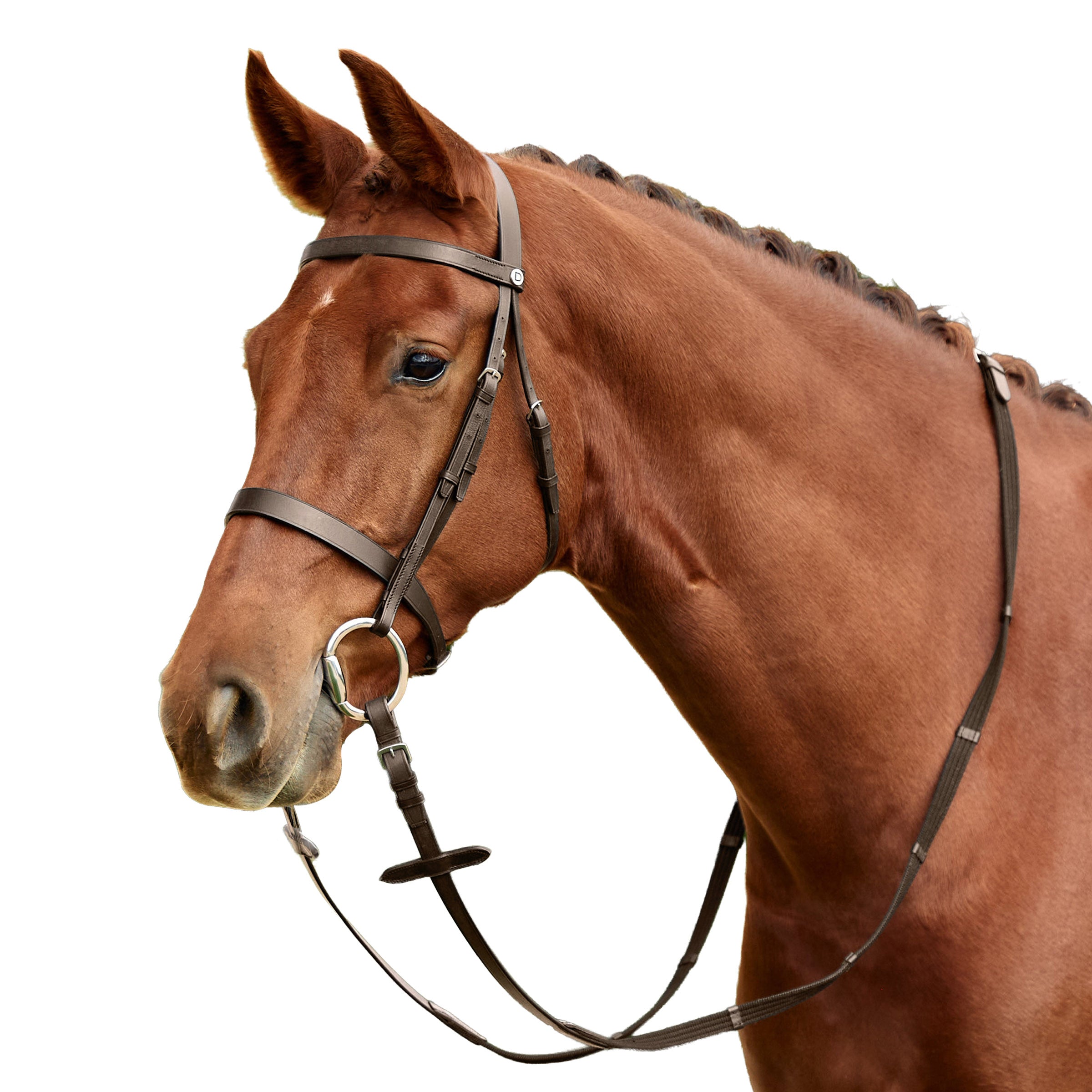 image_addtnl_1 - Brown - Dublin Flat Cavesson Bridle - .jpg