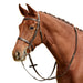 image_addtnl_1 - Brown - Dublin Flat Cavesson Bridle - .jpg