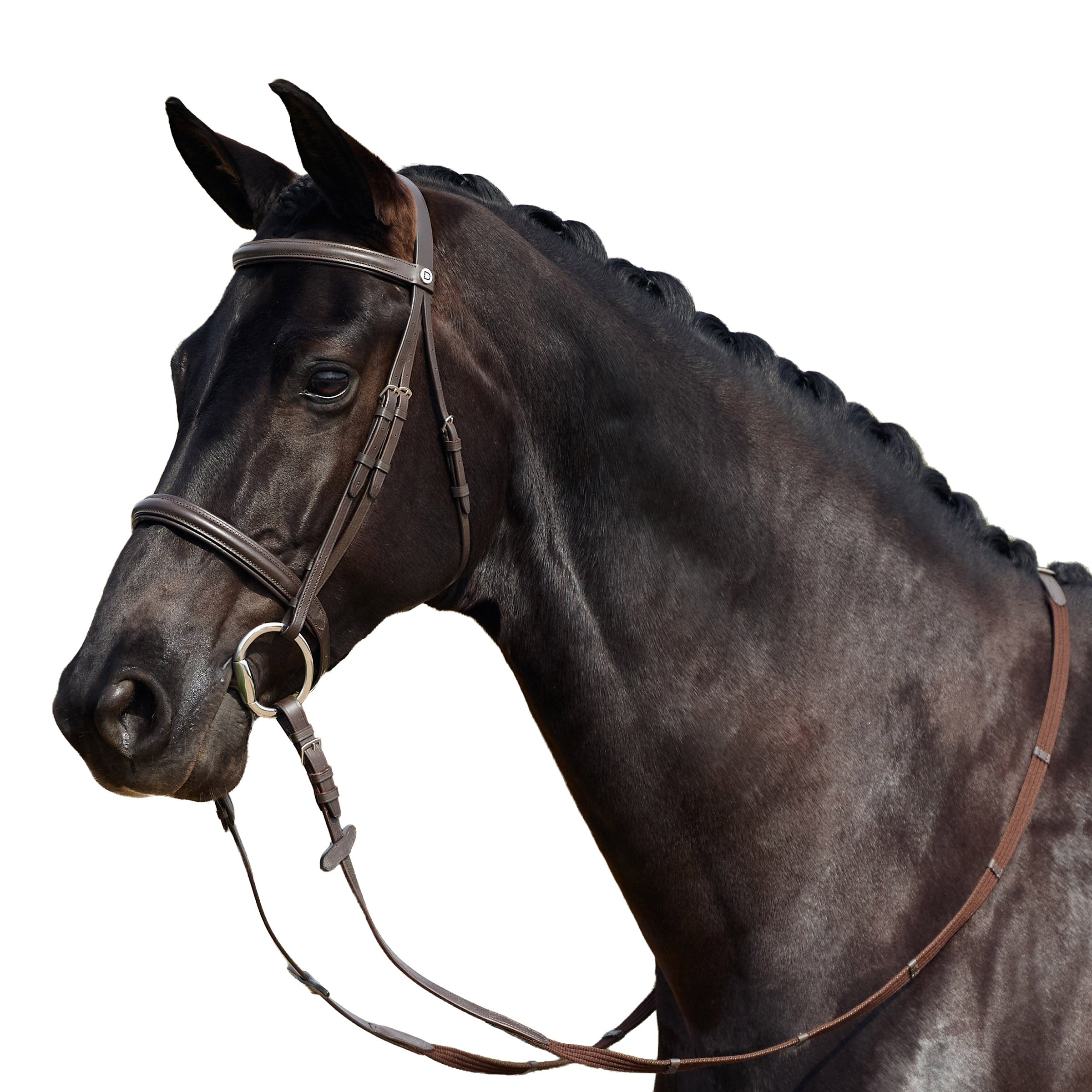 image_addtnl_1 - Brown - Dublin Padded Cavesson Bridle - .jpg