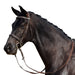 image_addtnl_1 - Brown - Dublin Padded Cavesson Bridle - .jpg