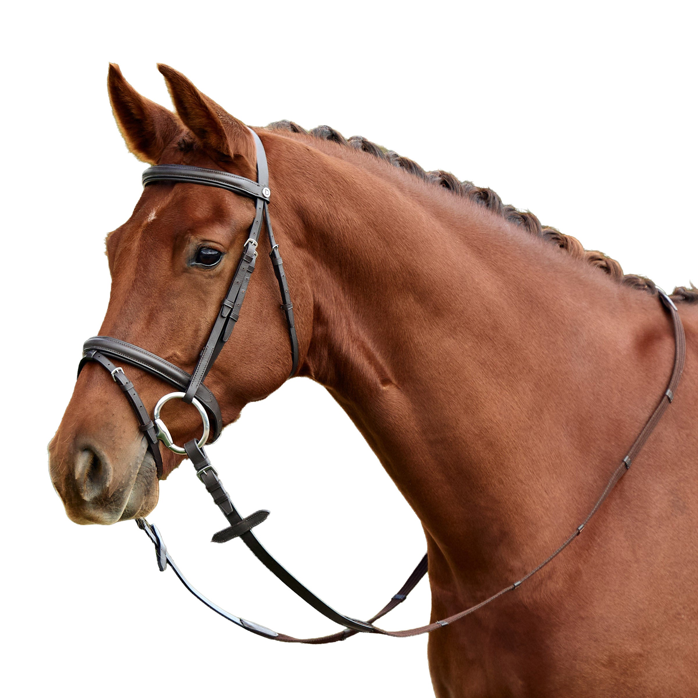 image_addtnl_1 - Brown - Dublin Padded Flash Bridle - .jpg