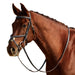 image_addtnl_1 - Brown - Dublin Padded Mono Crown Fancy Stitch Grackle Bridle - .jpg