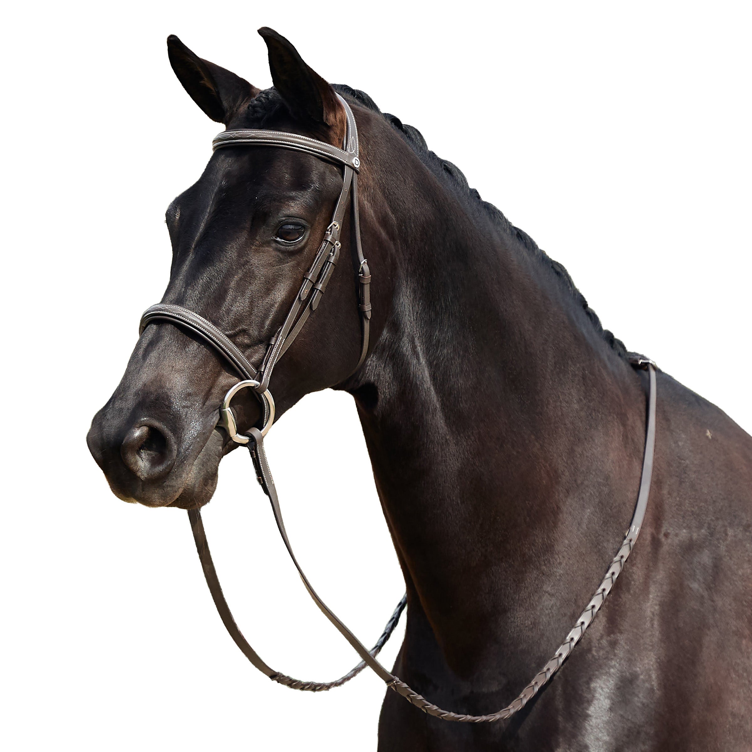 image_addtnl_1 - Brown - Dublin Padded Mono Crown Fancy Stitch Hunt Bridle - .jpg