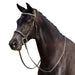 image_addtnl_1 - Brown - Dublin Padded Mono Crown Fancy Stitch Hunt Bridle - .jpg