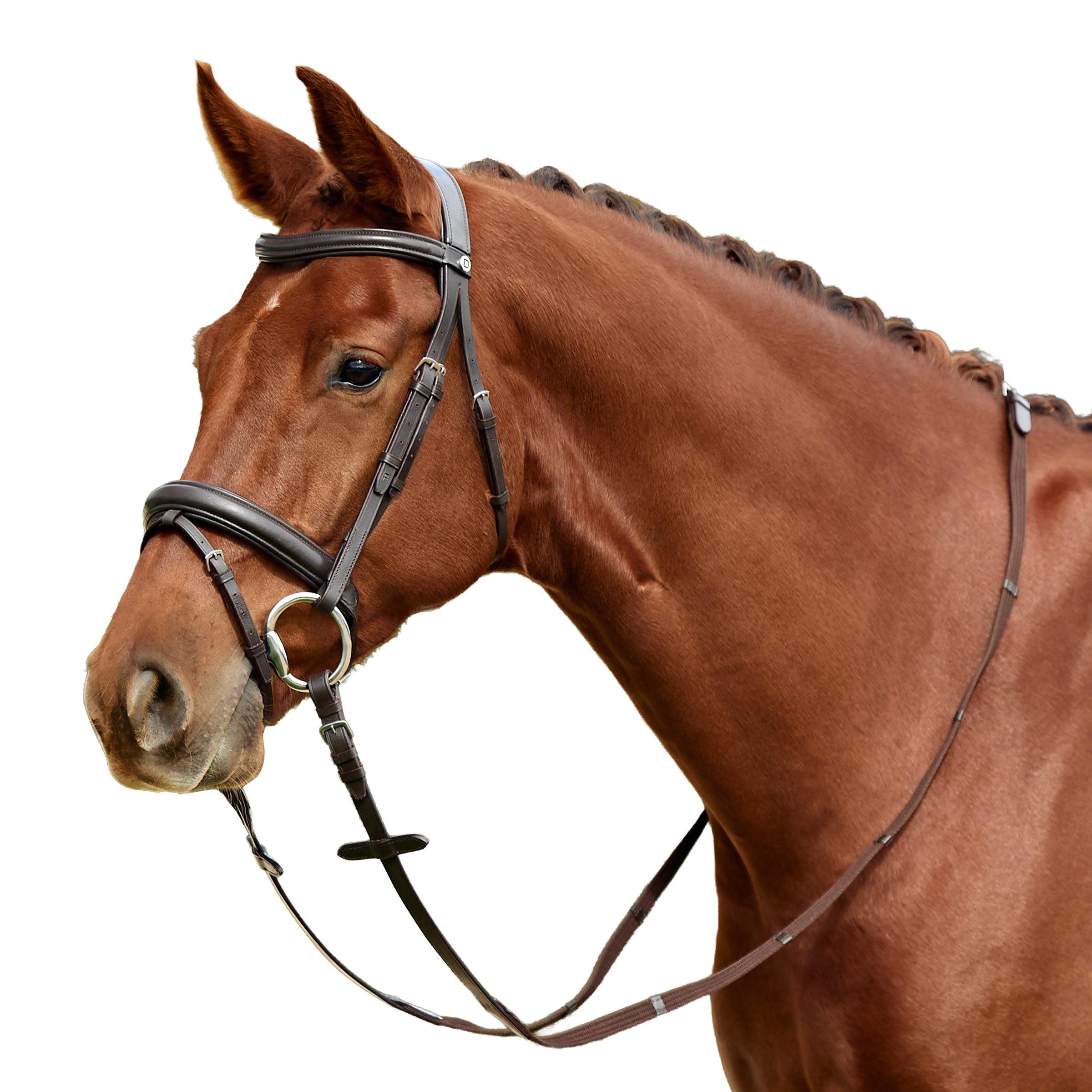image_addtnl_1 - Brown - Dublin Padded Mono Crown Flash Bridle - .jpg