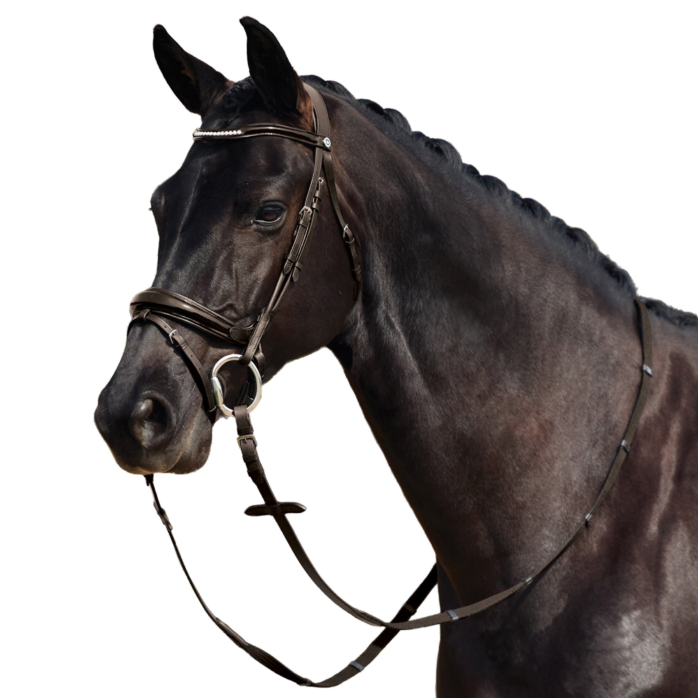 image_addtnl_1 - Brown - Dublin Padded Mono Crown Patent Flash Bridle - .jpg