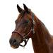 image_addtnl_1 - Burgundy/Brown - Dublin Leather Rope Halter - .jpg