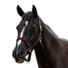 image_addtnl_1 - Burgundy - Dublin Braided Leather Halter - .jpg