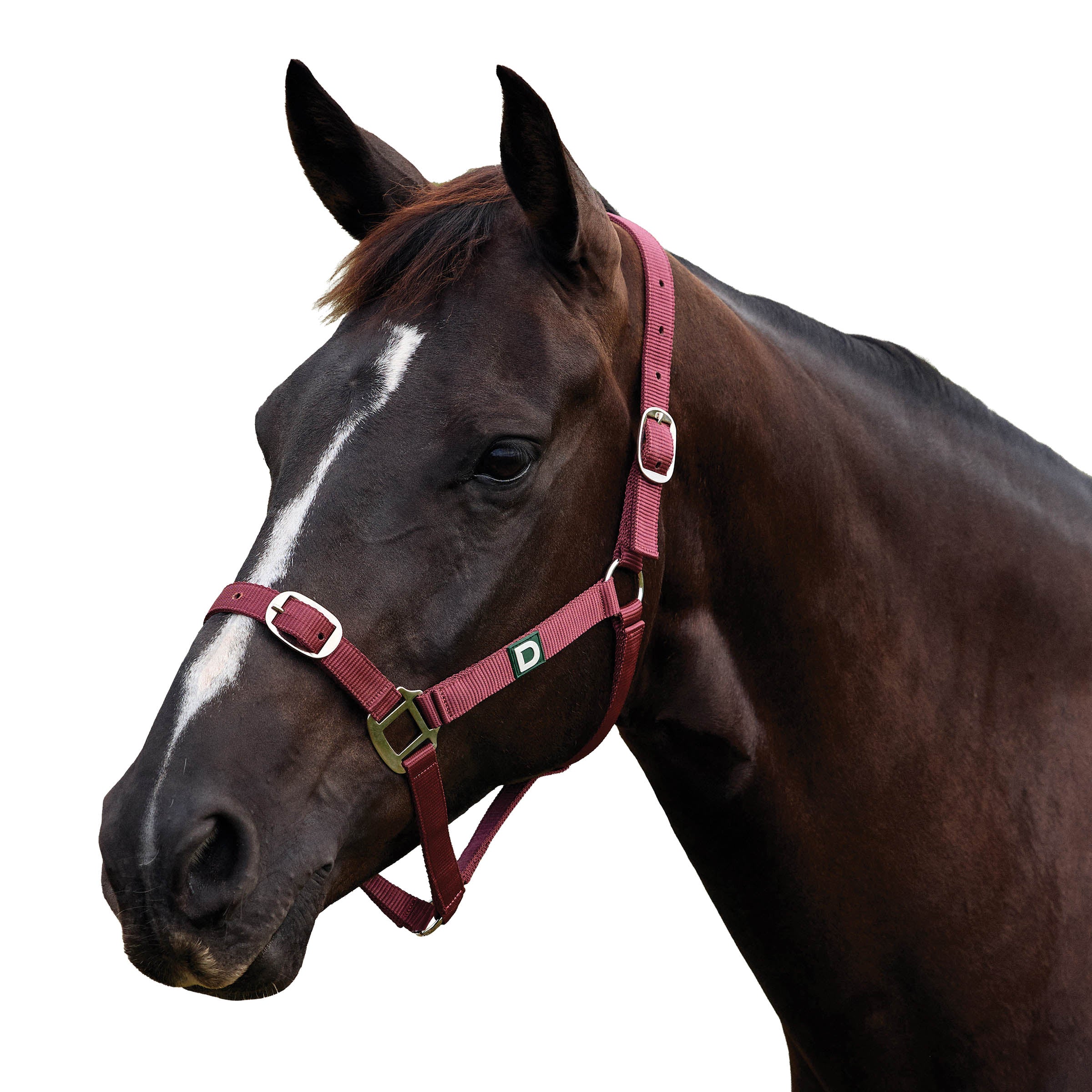image_addtnl_1 - Burgundy - Dublin Everyday Breakaway Halter - .jpg