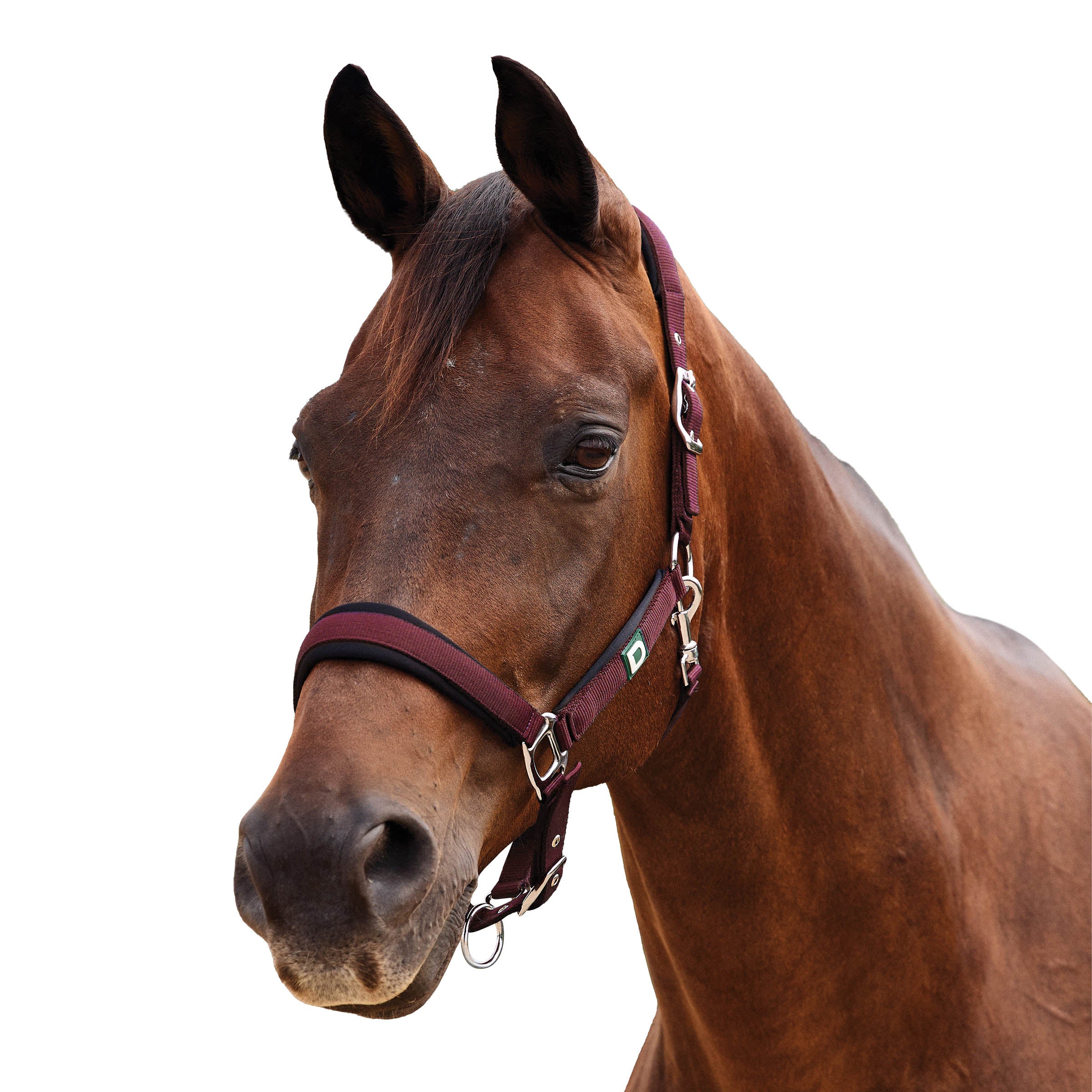image_addtnl_1 - Burgundy - Dublin Neo Comfort Breakaway Halter - .jpg