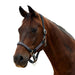 image_addtnl_1 - Charcoal - Dublin Braided Leather Halter - .jpg