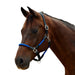 image_addtnl_1 - Cobalt/Black - Dublin Leather Rope Halter - .jpg