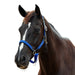 image_addtnl_1 - Cobalt - Dublin Braided Leather Halter - .jpg