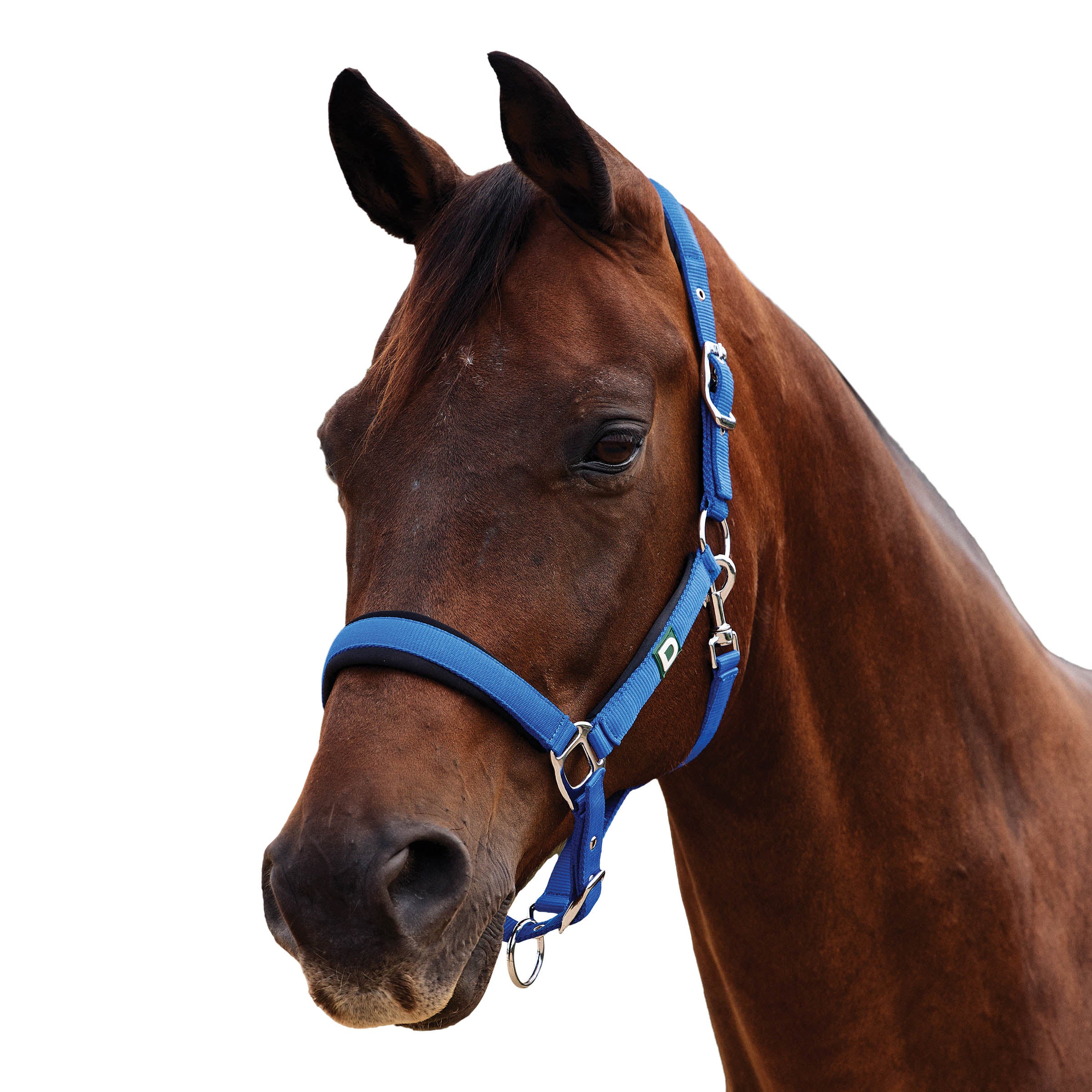 image_addtnl_1 - Cobalt - Dublin Neo Comfort Breakaway Halter - .jpg