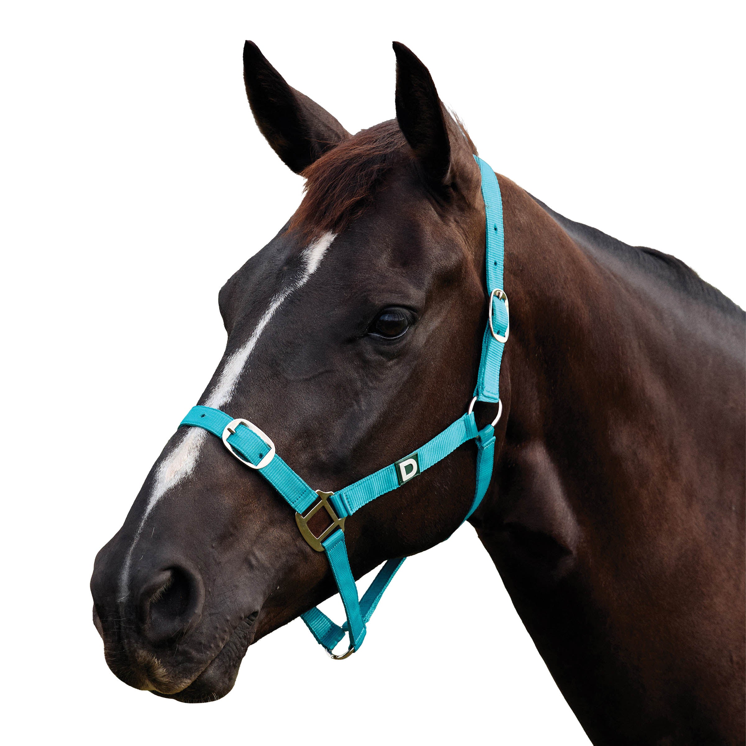 image_addtnl_1 - Dark Turquoise - Dublin Everyday Breakaway Halter - .jpg