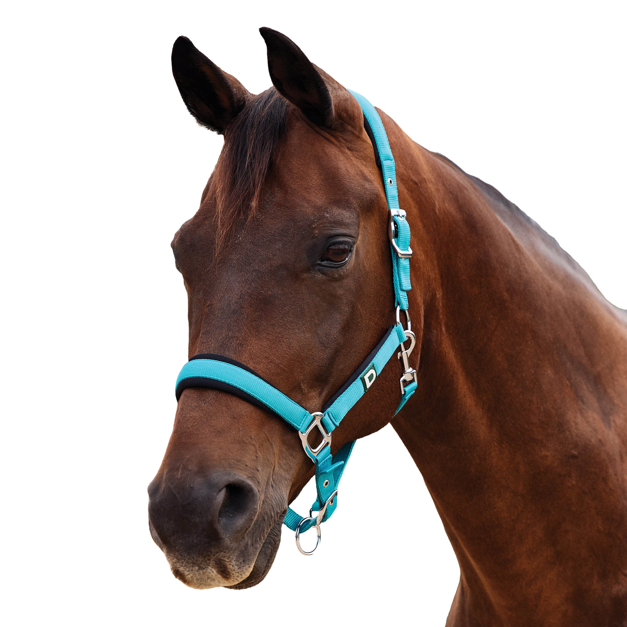 image_addtnl_1 - Dark Turquoise - Dublin Neo Comfort Breakaway Halter - .jpg