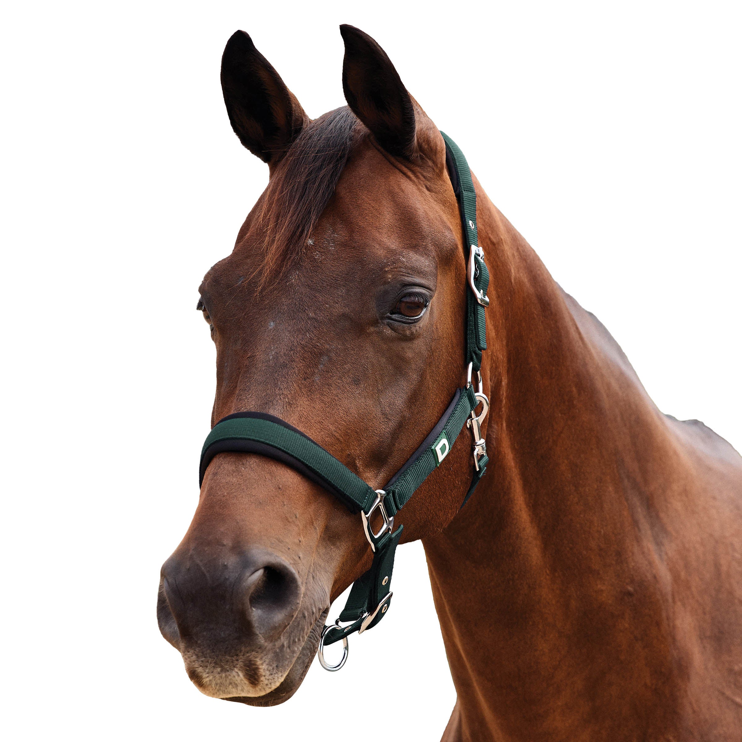 image_addtnl_1 - Green/Black - Dublin Neo Comfort Breakaway Halter - .jpg
