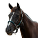 image_addtnl_1 - Hunter Green/Brown - Dublin Leather Rope Halter - .jpg