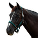 image_addtnl_1 - Hunter Green - Dublin Braided Leather Halter - .jpg