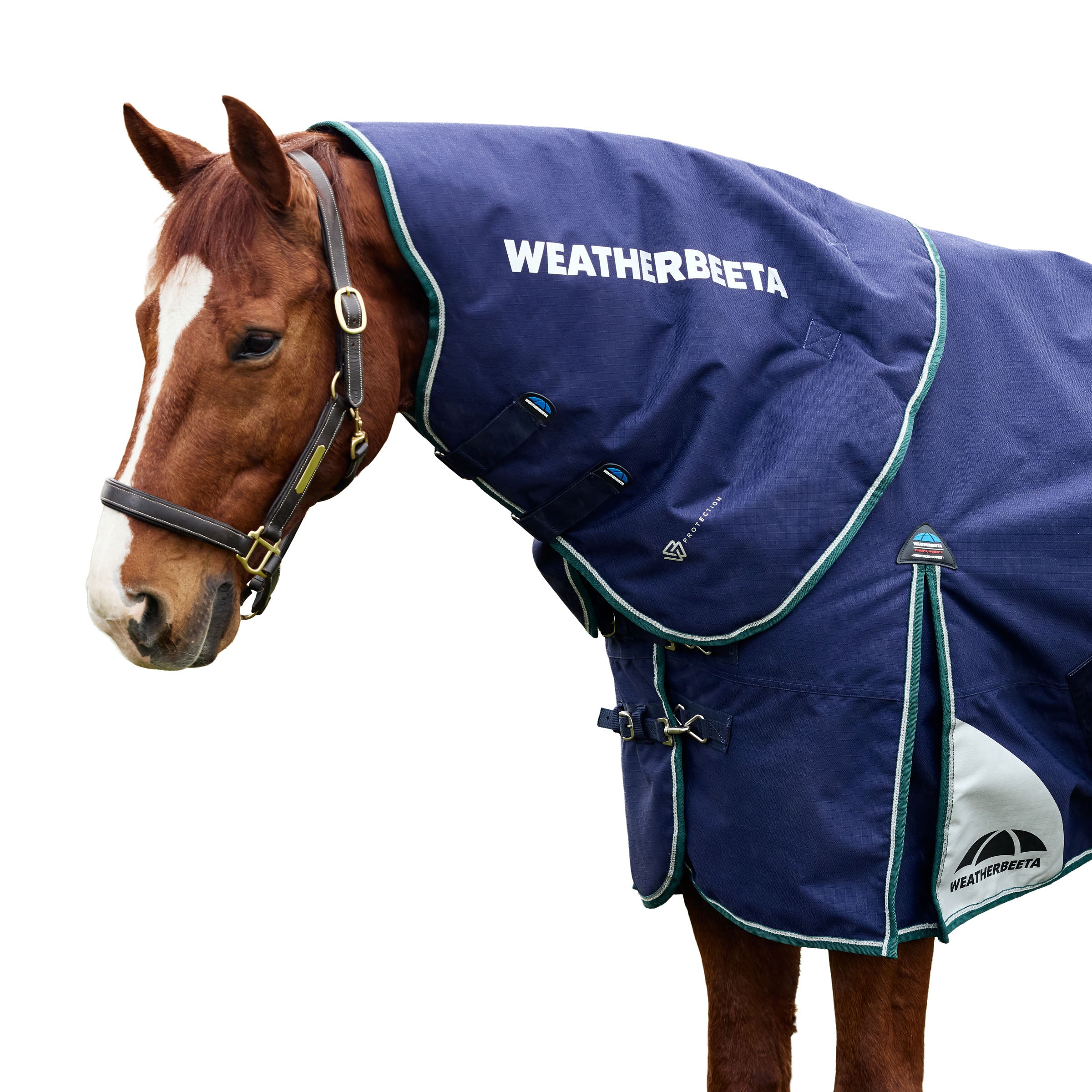 image_addtnl_1 - Navy/Forest Green - WeatherBeeta ComFiTec Plus Dynamic Turnout Neck Cover 0g - .jpg