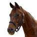 image_addtnl_1 - Navy - Dublin Braided Leather Halter - .jpg