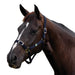 image_addtnl_1 - Navy - Dublin Everyday Breakaway Halter - .jpg