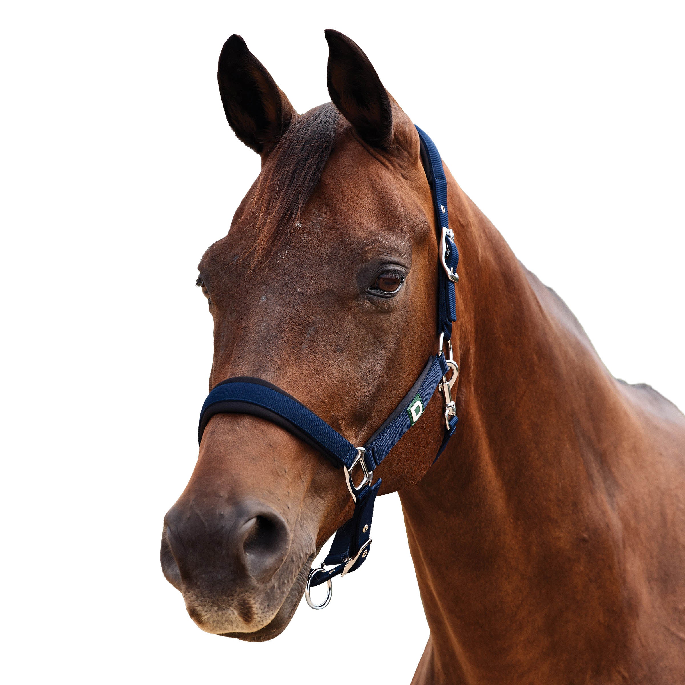 image_addtnl_1 - Navy - Dublin Neo Comfort Breakaway Halter - .jpg
