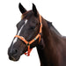 image_addtnl_1 - Orange - Dublin Everyday Breakaway Halter - .jpg