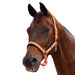 image_addtnl_1 - Orange - Dublin Neo Comfort Breakaway Halter - .jpg